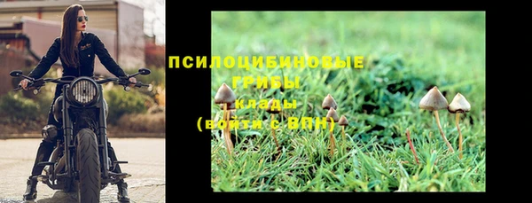 спайс Абдулино